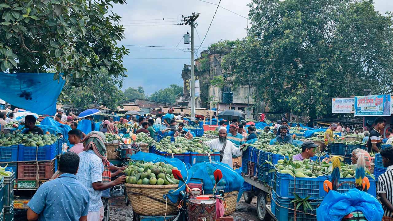 চাঁপাইনবাবগঞ্জে আমের বাণিজ্য লক্ষ্যমাত্রা সাড়ে ৭ হাজার কোটি