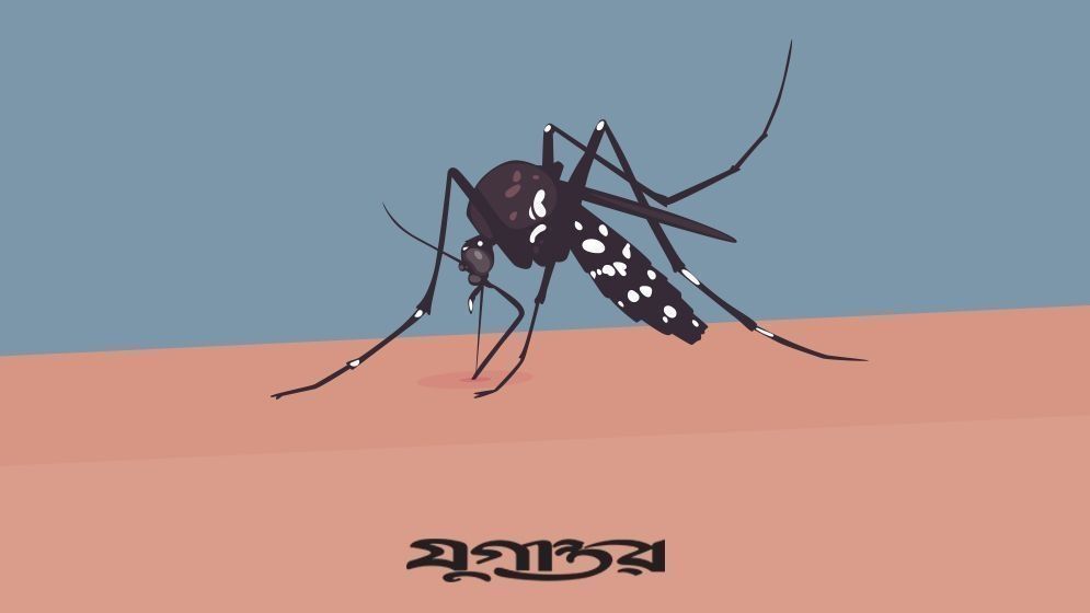 গত ২৪ ঘণ্টায় ডেঙ্গুতে একজনের মৃত্যু, হাসপাতালে ভর্তি ২৬২