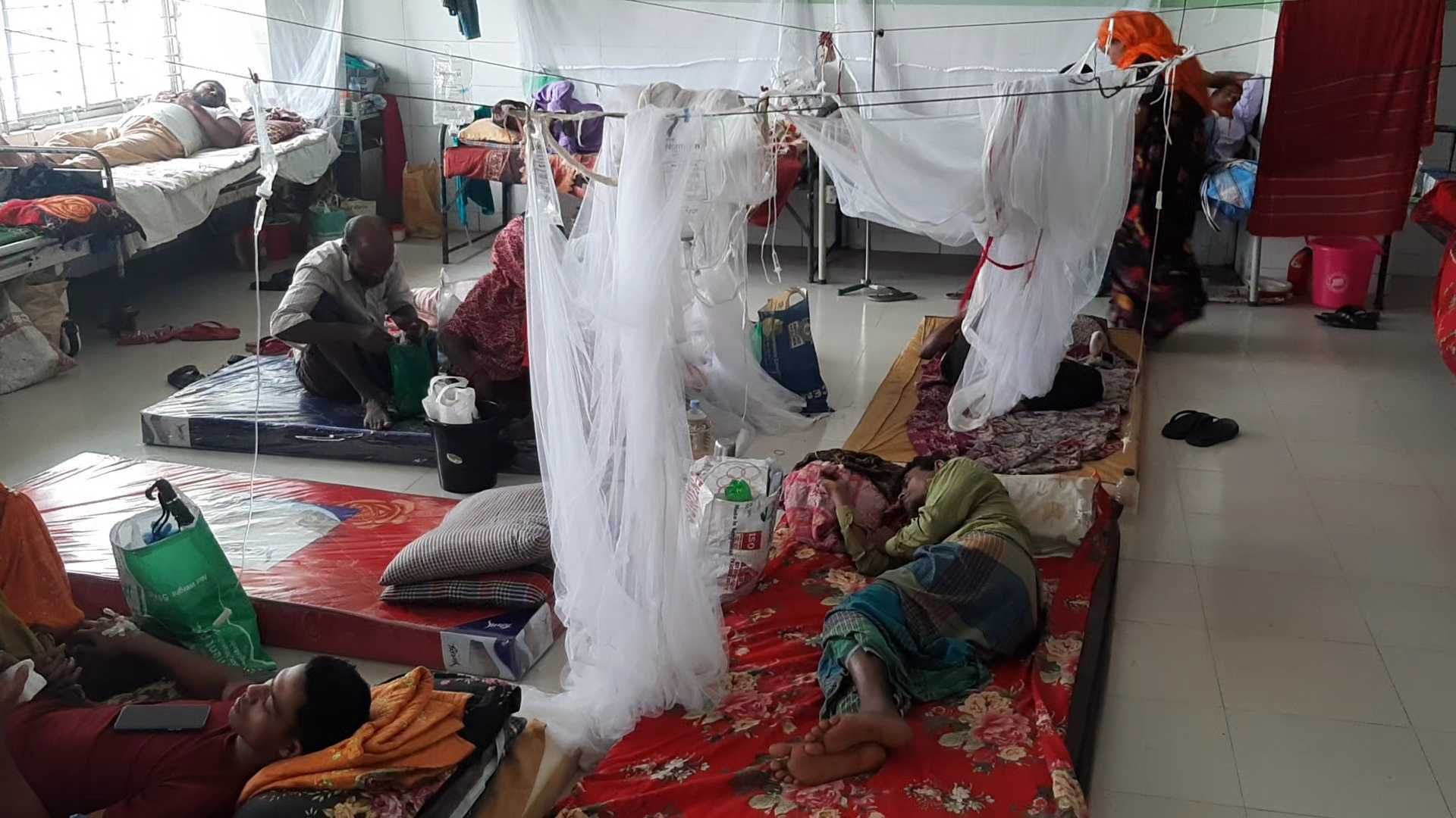 ডেঙ্গুতে তিনজনের মৃত্যু, হাসপাতালে ৪৯২
