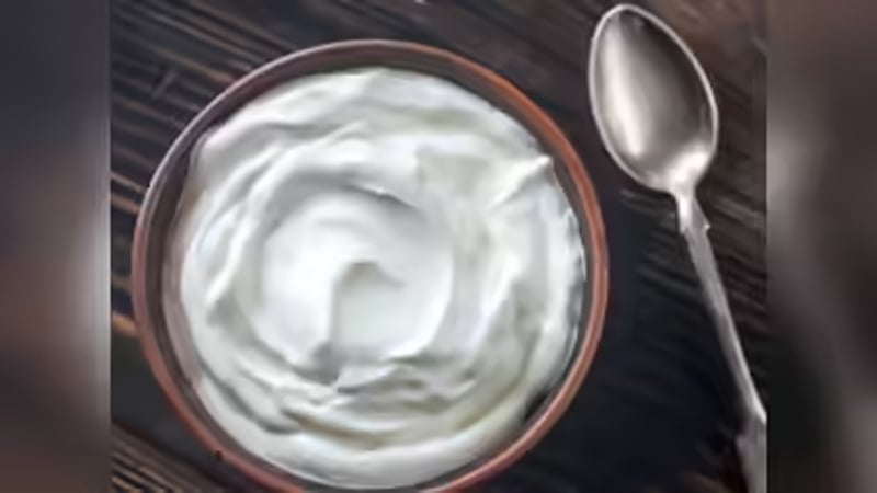 বর্ষাকালে দই কেন এড়িয়ে চলা উচিত?