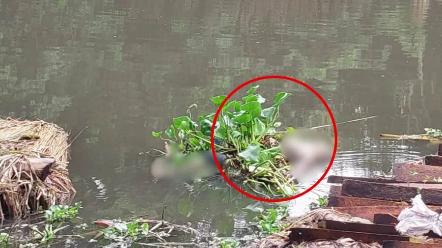 কচুরিপানার সঙ্গে খালে ভেসে এলো মরদেহ 