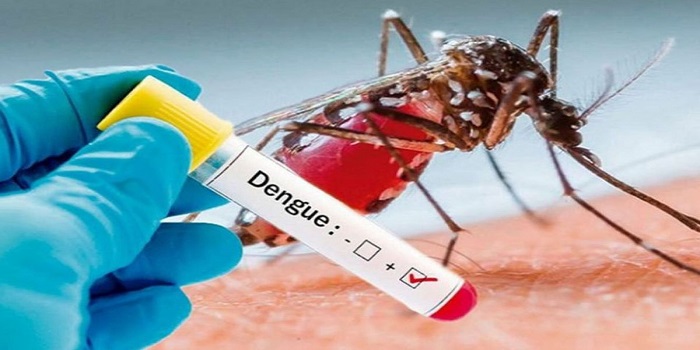 ২৪ ঘণ্টায় ডেঙ্গুতে আরও ৩ জনের মৃত্যু, হাসপাতালে ভর্তি ৪২৮