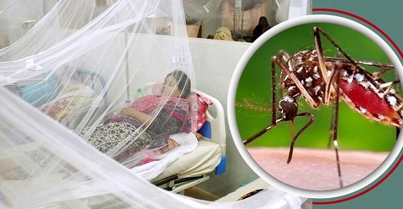 ডেঙ্গুতে মৃত্যু ১০০ ছাড়ালো